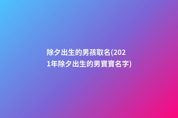 除夕出生的男孩取名(2021年除夕出生的男寶寶名字)