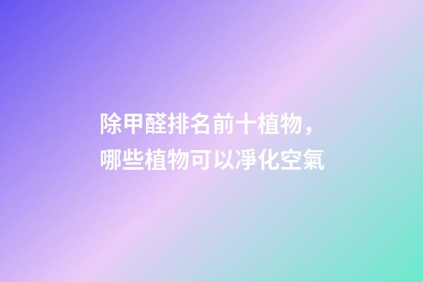 除甲醛排名前十植物，哪些植物可以凈化空氣