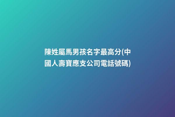 陳姓屬馬男孩名字最高分(中國人壽寶應支公司電話號碼)