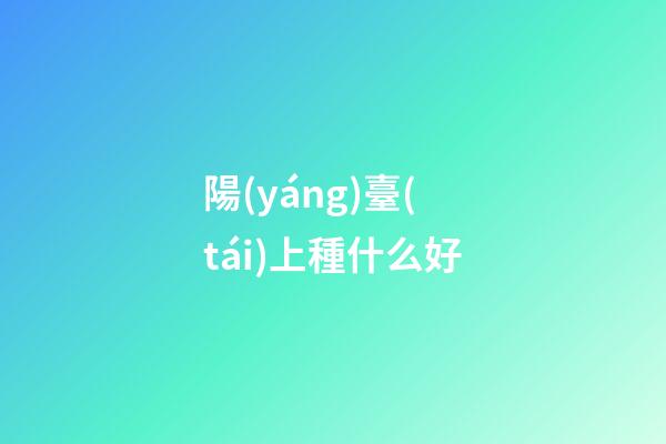 陽(yáng)臺(tái)上種什么好