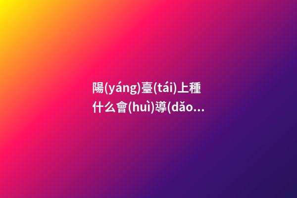 陽(yáng)臺(tái)上種什么會(huì)導(dǎo)致女性出軌