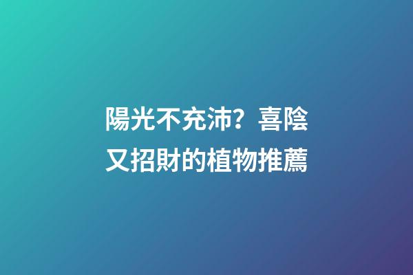 陽光不充沛？喜陰又招財的植物推薦
