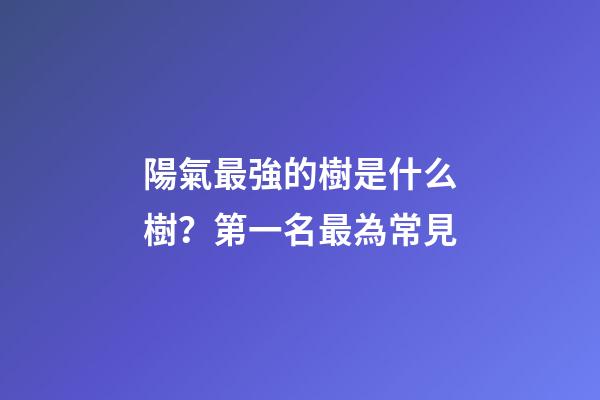 陽氣最強的樹是什么樹？第一名最為常見