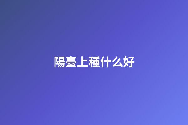 陽臺上種什么好