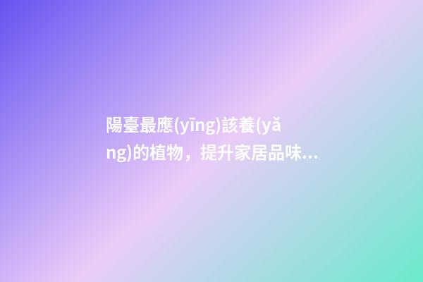 陽臺最應(yīng)該養(yǎng)的植物，提升家居品味還能招好運氣、阻隔不良氣場