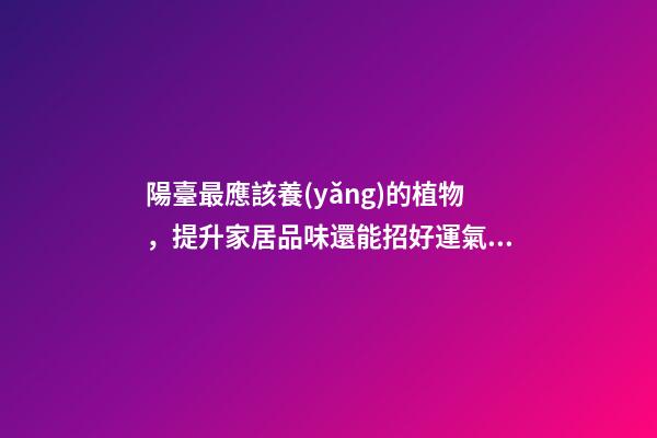 陽臺最應該養(yǎng)的植物，提升家居品味還能招好運氣、阻隔不良氣場
