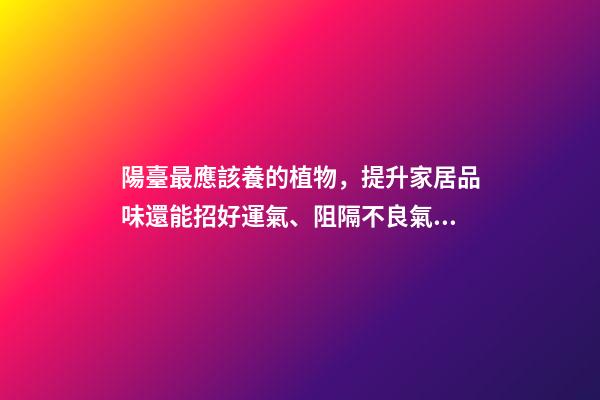 陽臺最應該養的植物，提升家居品味還能招好運氣、阻隔不良氣場