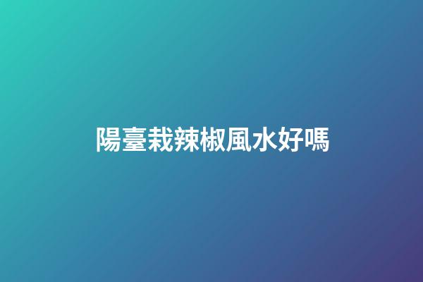 陽臺栽辣椒風水好嗎