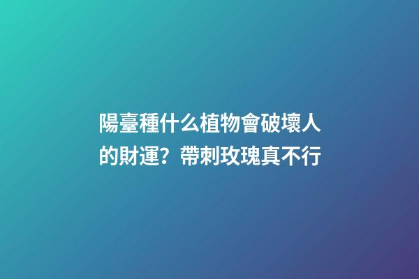 陽臺種什么植物會破壞人的財運？帶刺玫瑰真不行