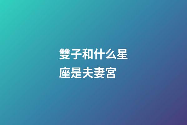 雙子和什么星座是夫妻宮-第1張-星座運勢-玄機派