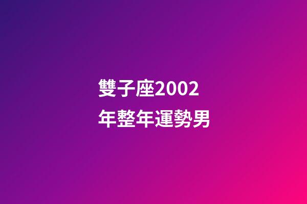 雙子座2002年整年運勢男