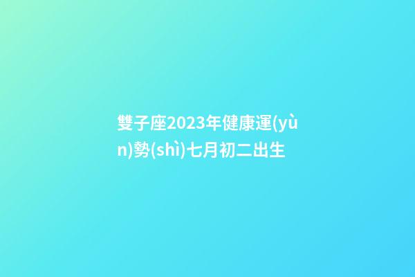 雙子座2023年健康運(yùn)勢(shì)七月初二出生-第1張-星座運(yùn)勢(shì)-玄機(jī)派