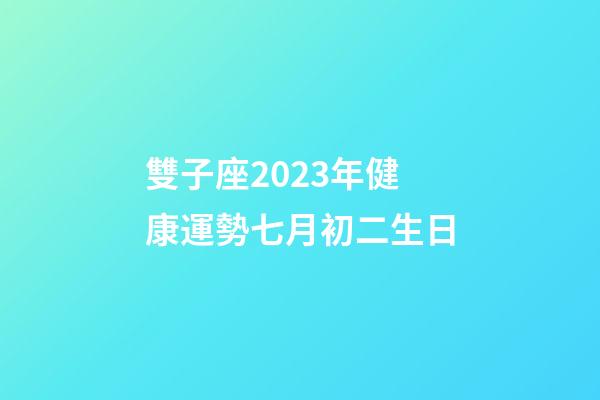 雙子座2023年健康運勢七月初二生日-第1張-星座運勢-玄機派