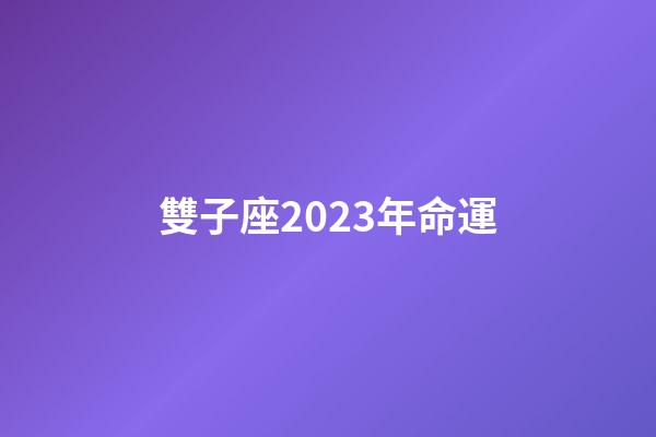 雙子座2023年命運-第1張-星座運勢-玄機派