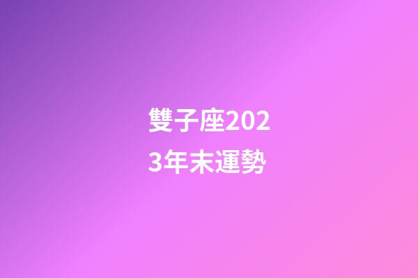 雙子座2023年末運勢-第1張-星座運勢-玄機派
