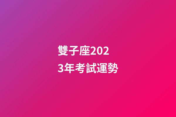 雙子座2023年考試運勢-第1張-星座運勢-玄機派