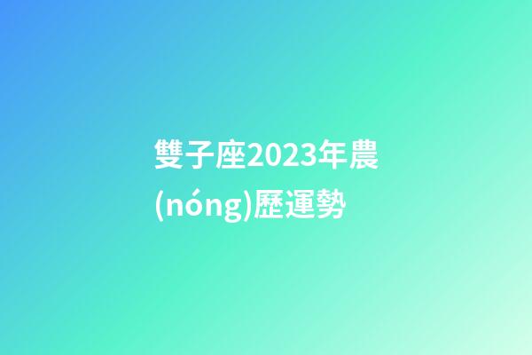 雙子座2023年農(nóng)歷運勢-第1張-星座運勢-玄機派