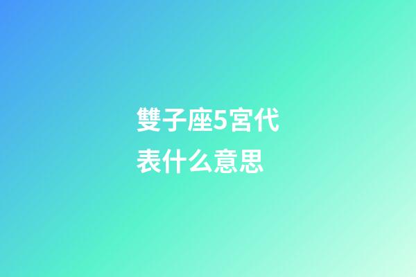 雙子座5宮代表什么意思-第1張-星座運勢-玄機派