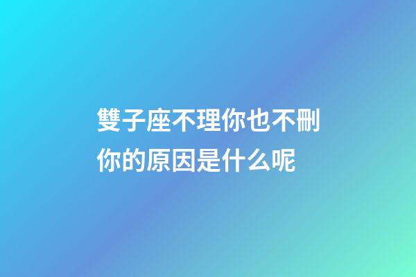 雙子座不理你也不刪你的原因是什么呢-第1張-星座運勢-玄機派