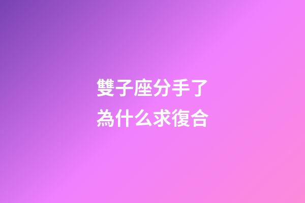 雙子座分手了為什么求復合-第1張-星座運勢-玄機派