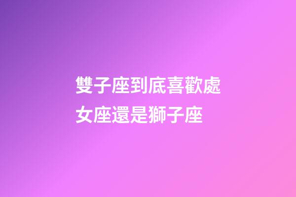 雙子座到底喜歡處女座還是獅子座-第1張-星座運勢-玄機派