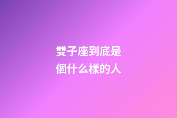 雙子座到底是個什么樣的人-第1張-星座運(yùn)勢-玄機(jī)派