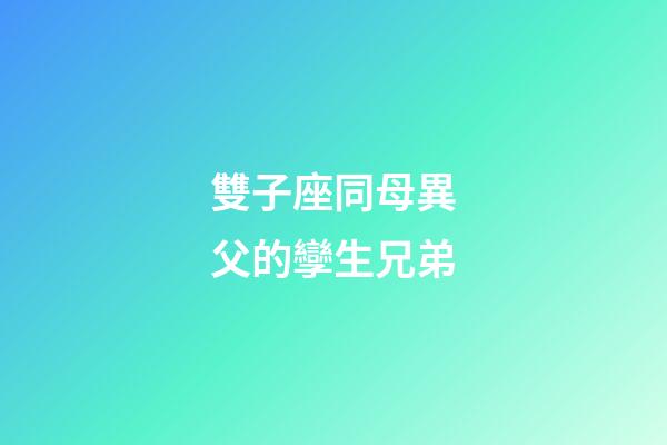 雙子座同母異父的孿生兄弟-第1張-星座運勢-玄機派