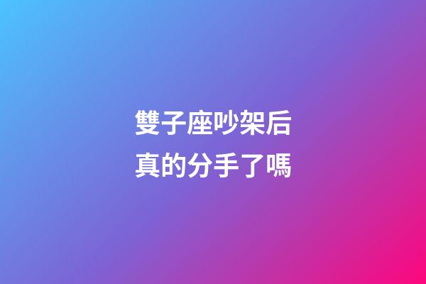 雙子座吵架后真的分手了嗎-第1張-星座運(yùn)勢-玄機(jī)派