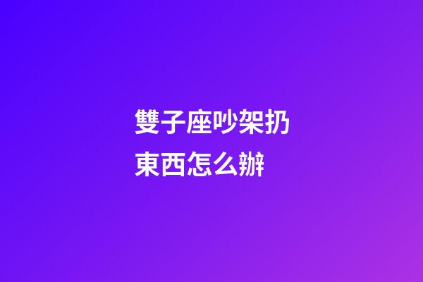 雙子座吵架扔東西怎么辦-第1張-星座運勢-玄機派