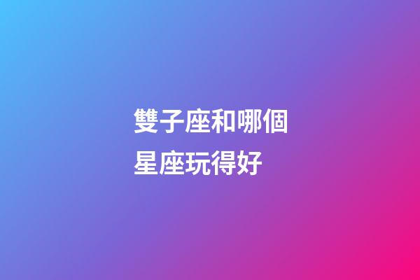 雙子座和哪個星座玩得好-第1張-星座運勢-玄機派