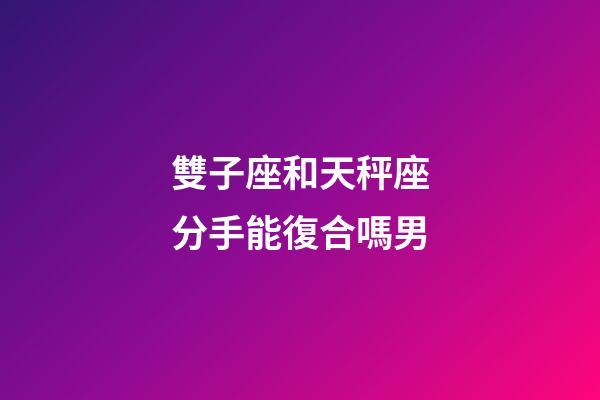 雙子座和天秤座分手能復合嗎男-第1張-星座運勢-玄機派