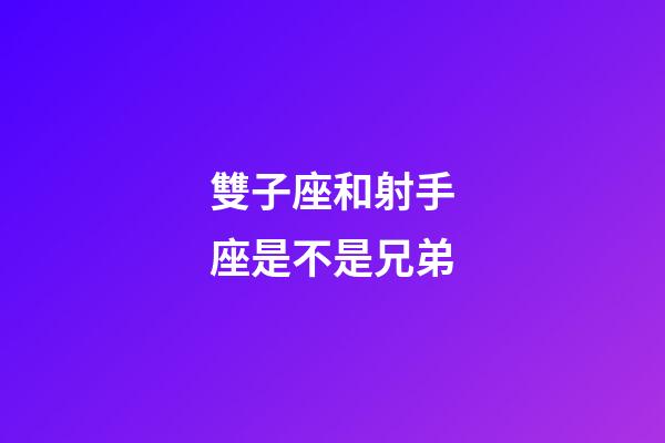 雙子座和射手座是不是兄弟-第1張-星座運(yùn)勢(shì)-玄機(jī)派