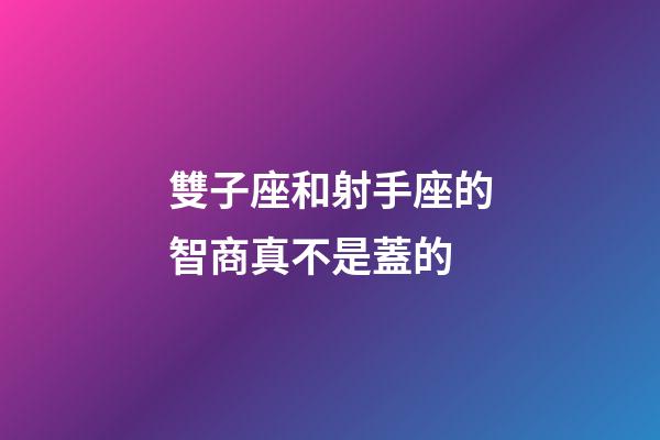 雙子座和射手座的智商真不是蓋的-第1張-星座運勢-玄機派