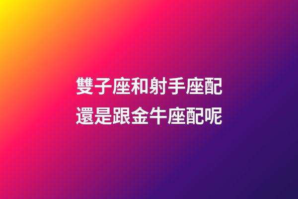 雙子座和射手座配還是跟金牛座配呢-第1張-星座運勢-玄機派