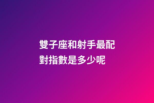 雙子座和射手最配對指數是多少呢