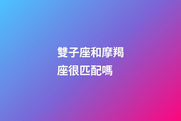 雙子座和摩羯座很匹配嗎-第1張-星座運勢-玄機派