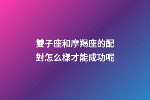 雙子座和摩羯座的配對怎么樣才能成功呢