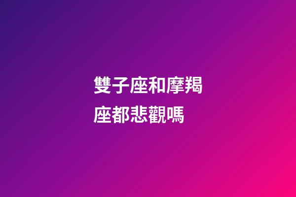 雙子座和摩羯座都悲觀嗎-第1張-星座運勢-玄機派