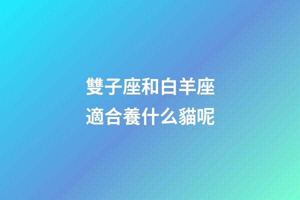 雙子座和白羊座適合養什么貓呢-第1張-星座運勢-玄機派