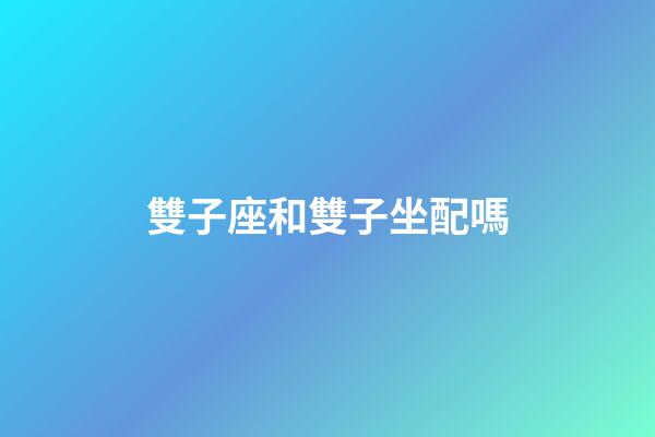 雙子座和雙子坐配嗎-第1張-星座運勢-玄機派