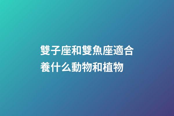 雙子座和雙魚座適合養什么動物和植物-第1張-星座運勢-玄機派