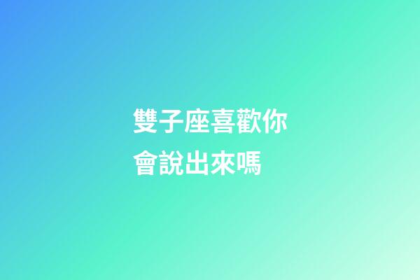 雙子座喜歡你會說出來嗎-第1張-星座運勢-玄機派