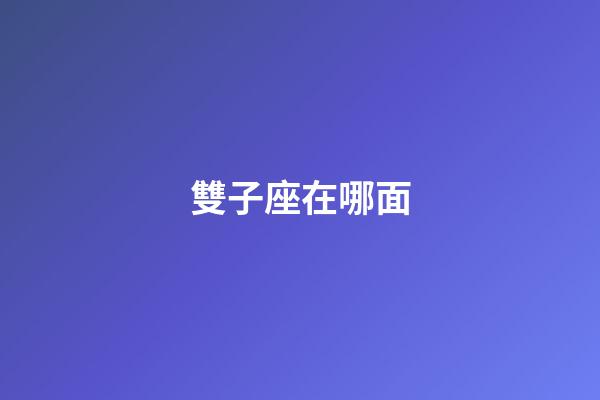 雙子座在哪面-第1張-星座運(yùn)勢(shì)-玄機(jī)派