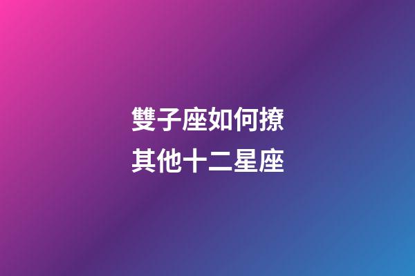 雙子座如何撩其他十二星座-第1張-星座運勢-玄機派