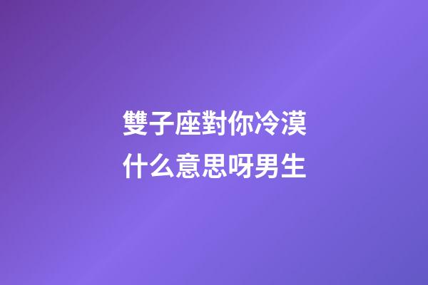 雙子座對你冷漠什么意思呀男生-第1張-星座運勢-玄機派