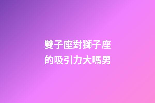 雙子座對獅子座的吸引力大嗎男-第1張-星座運勢-玄機派