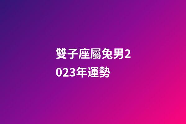 雙子座屬兔男2023年運勢-第1張-星座運勢-玄機派