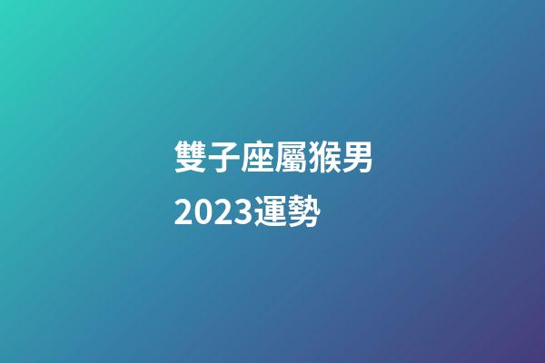 雙子座屬猴男2023運勢-第1張-星座運勢-玄機派