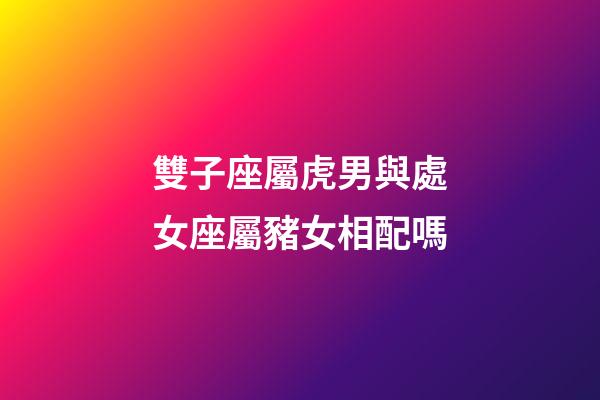 雙子座屬虎男與處女座屬豬女相配嗎-第1張-星座運勢-玄機派