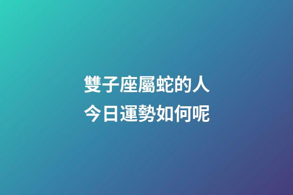 雙子座屬蛇的人今日運勢如何呢-第1張-星座運勢-玄機派
